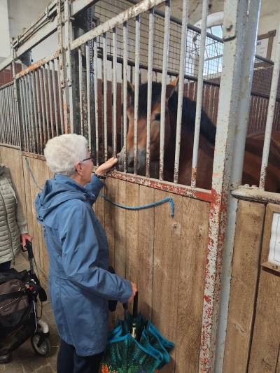 18.08.2026 
Besuch in Warendorf