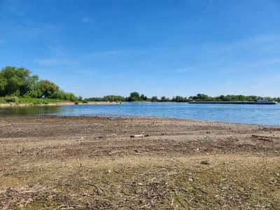 30.04.25 Rast in Rees am Rhein